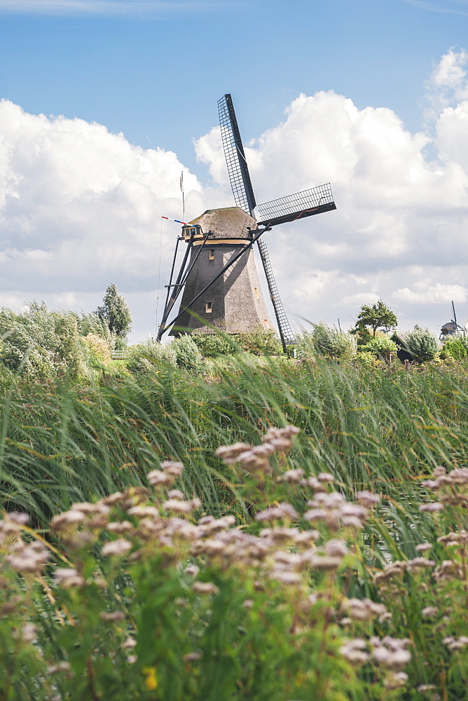 Canal and windmills, Kinderdijk, UNESCO World Heritage Site, South Holland, The Netherlands, Europe 