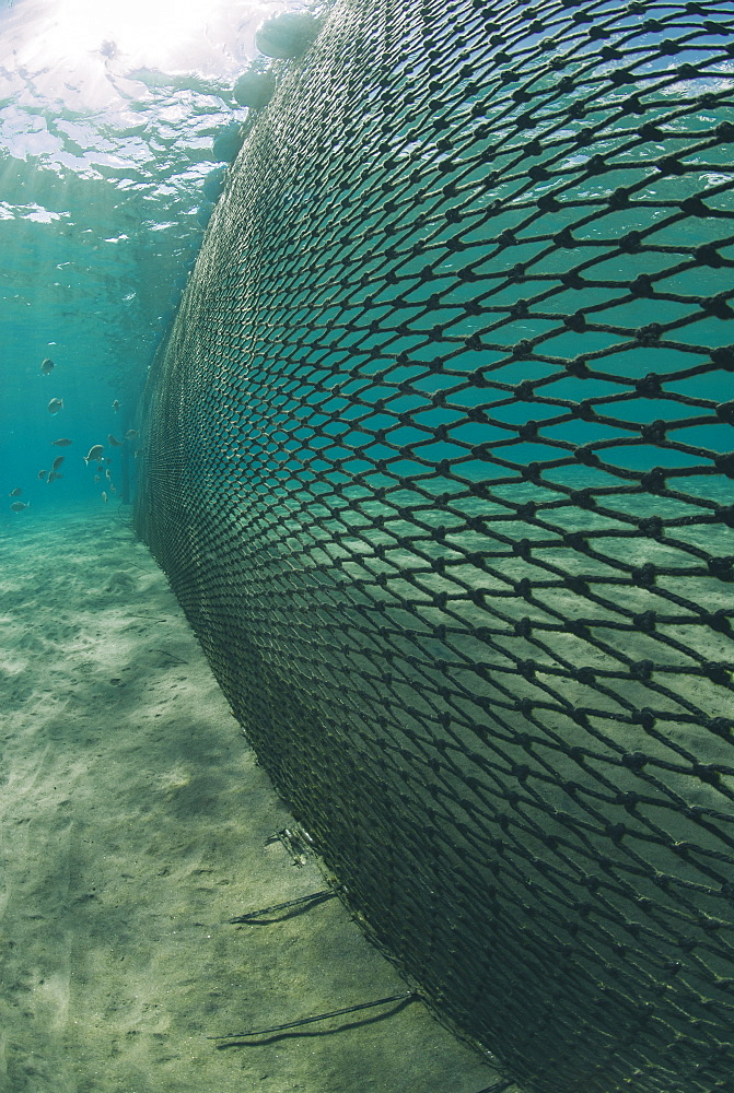 Shark net set in shallow water, Naama Bay, Ras Mohammed National Park, Sharm El Sheikh, Red Sea, Egypt, North Africa, Africa