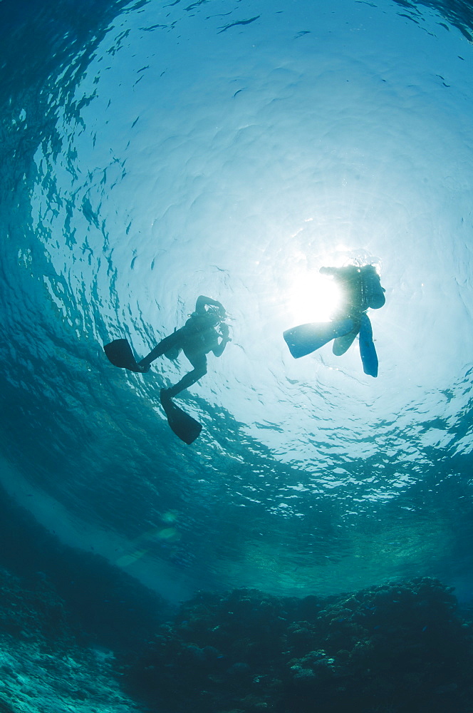 Silhouette of two scuba divers at the surface, Red Sea, Egypt, North Africa, Africa