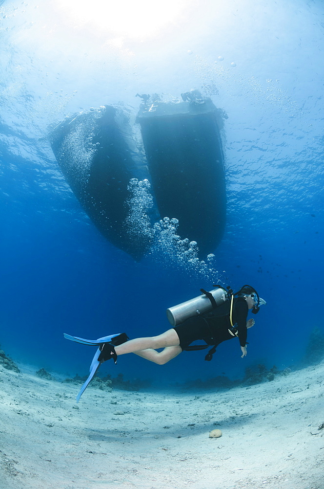 Female scuba diver swimming underneath moored up dive boats, Sharm El Sheikh, Red Sea, Egypt, North Africa, Africa