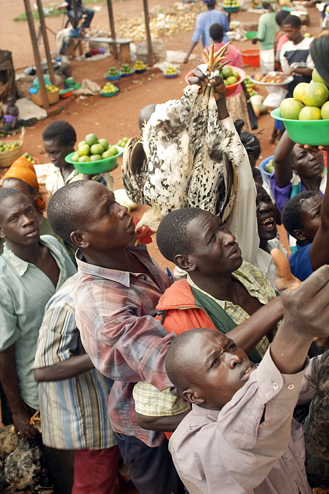 On the road to Kampala, there are numerous opportunities to purchase food, water and even live chickens at various trade spots along the way.  You don't even need to get off the bus. Kampala, Uganda, East Africa