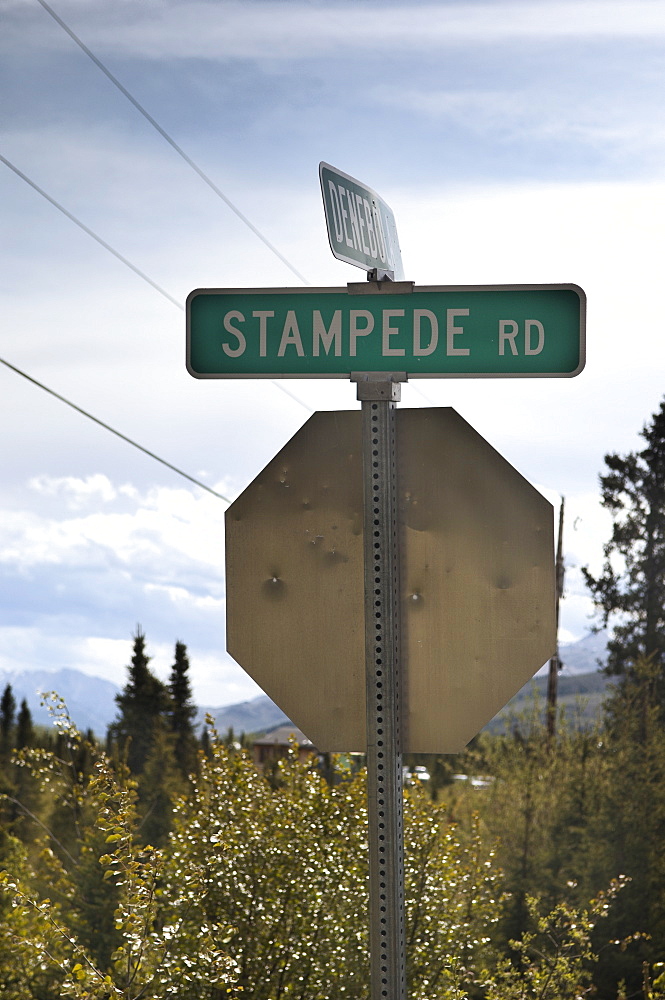 Americal style road sign indicating the Stampede road; a mining road built in 1961 to link a previous Trail (Stempede) made famous by the exploits and eventual death of Chris McCandless in 1992.  Denali, Alaskan Interior. Denali, Alaska, USA