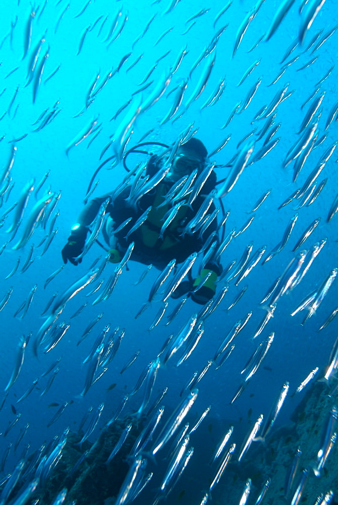 Wreck diving - SS Thistlegorm. Red Sea.