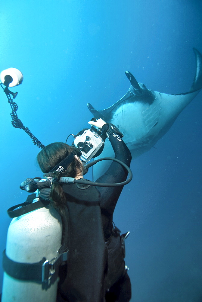 Research diver approaching manta birostris to record detail in research program, Project Elasmo. Pacific Ocean, Ecuador