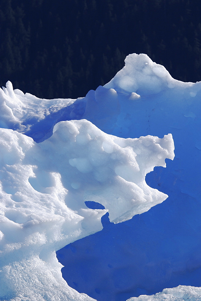 A very unusual iceberg calved from the Sawyer Glacier in Tracy Arm in southeast Alaska, USA.