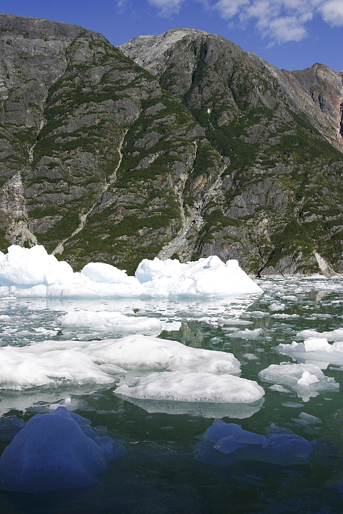 Icebergs calved from the Sawyer Glacier in Tracy Arm in southeast Alaska, USA.