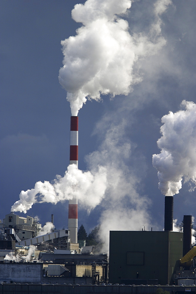 Paper pulp mill spewing smoke from processing plant on the Campbell River on Vancouver Island, British Columbia, Canada.