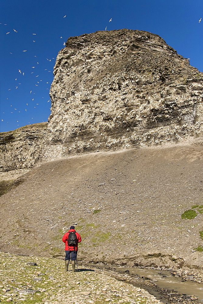 A hiker with a view of the cliffs at Diskobukta on the western side of EdgeØya in the Svalbard Archipelago in the Barents Sea.