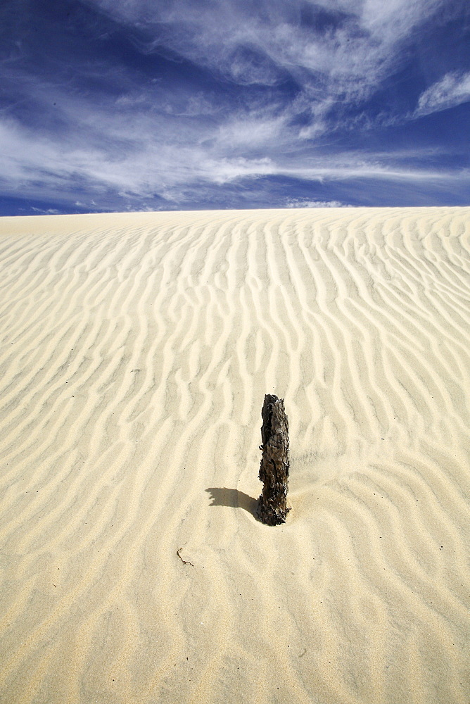 Patterns in the sand dunes of Isla Magdalena on the Pacific side of the Baja Peninsula, Mexico.