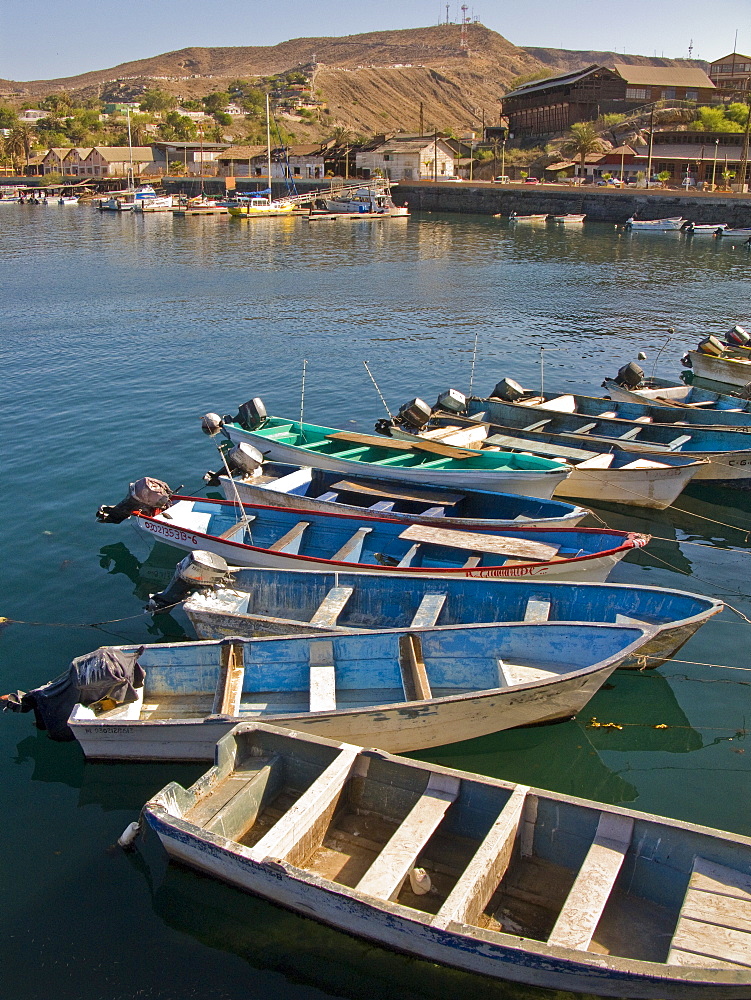 Mexican fishing boats called pangas in the port town of Santa Rosalia, Baja California Sur, on the Baja Peninsula, Mexico.