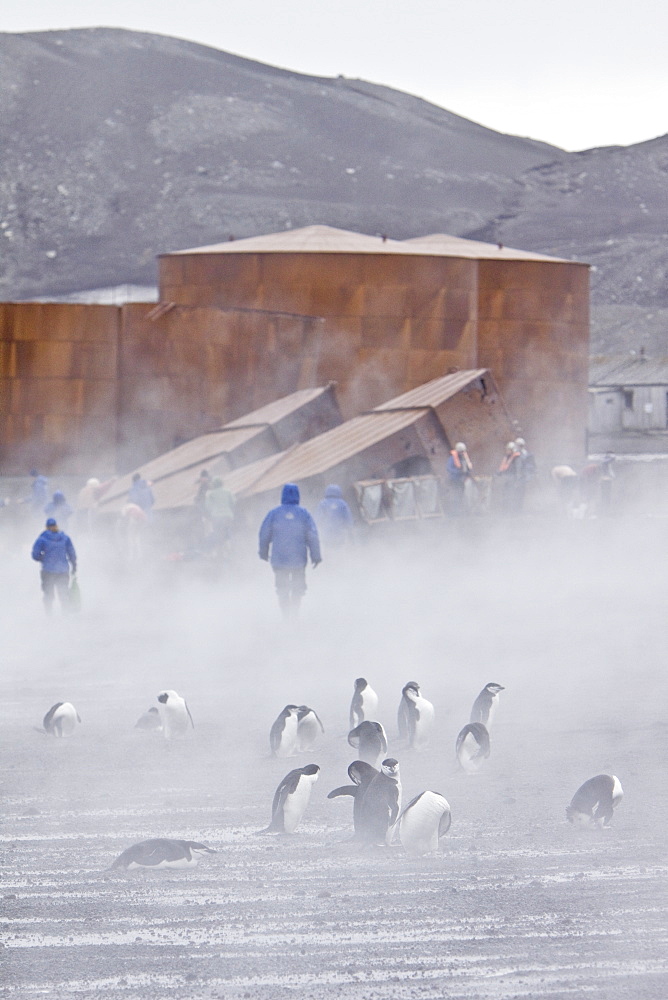 Views of Deception Island, an island in the South Shetland Islands off the Antarctic Peninsula