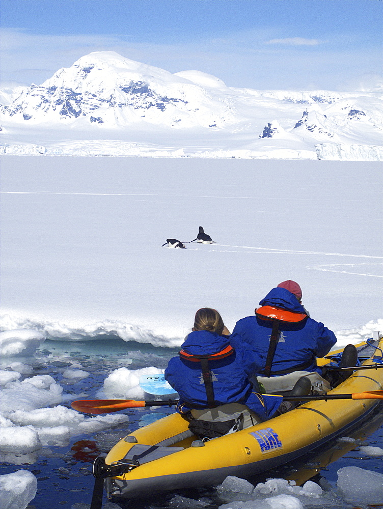 Guests from the Lindblad Expedition ship National Geographic Explorer kayaking in and around the Antarctic Peninsula in the summer months.