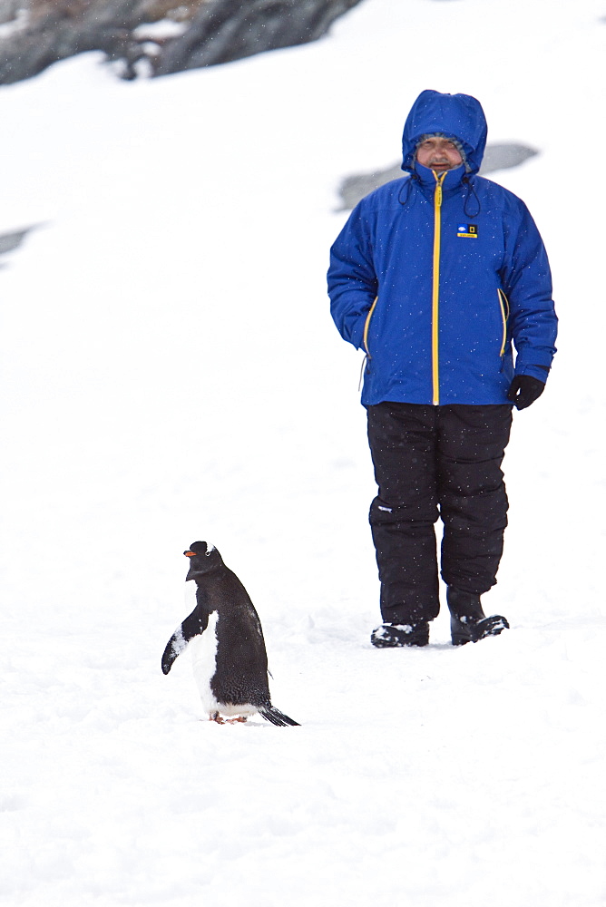 Guests from the Lindblad Expedition ship National Geographic Explorer, Antarctica