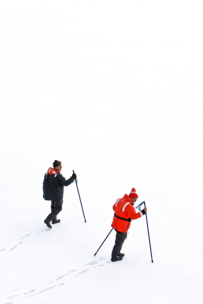 Natural history staff from the Lindblad Expedition ship National Geographic Endeavour doing various things in and around the Antarctic Peninsula