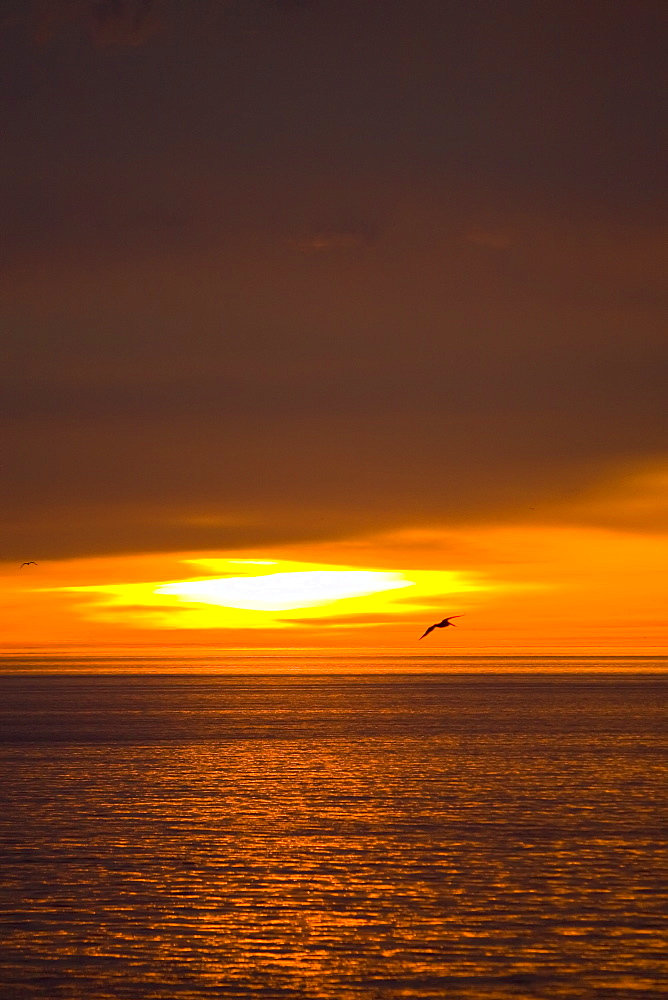 Sunrise/sunset in the Gulf of California (Sea of Cortez), Mexico.