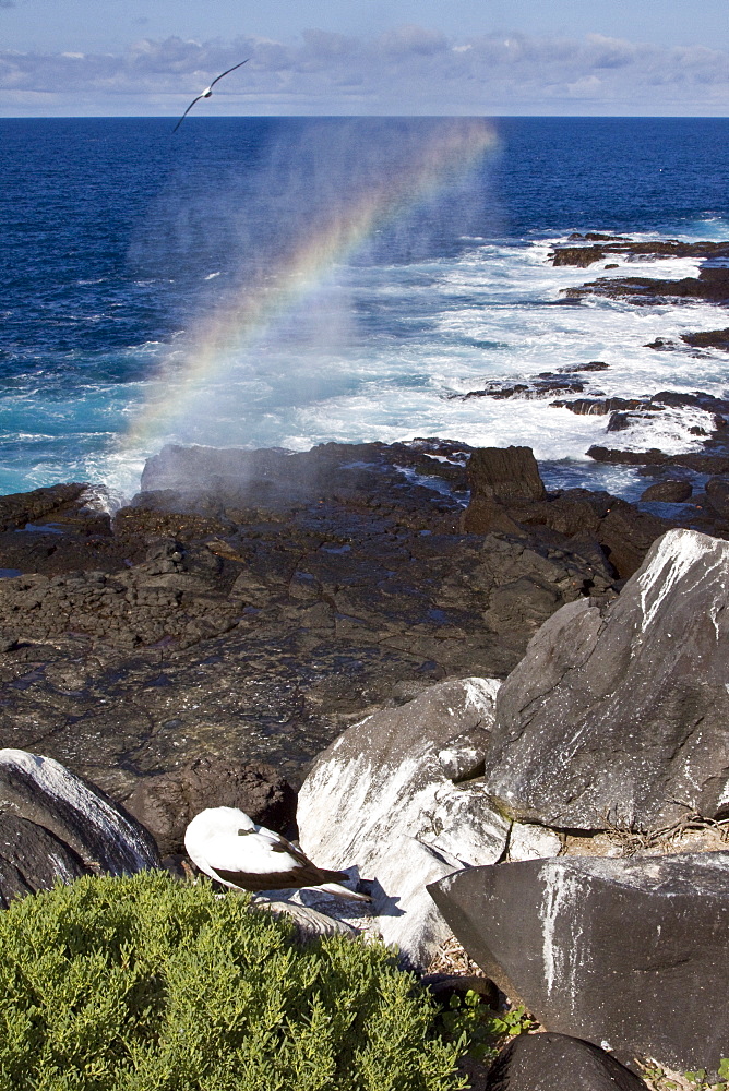 Fun and interesting scenery in the Galapagos Island Archipeligo, Ecuador. Pacific Ocean.