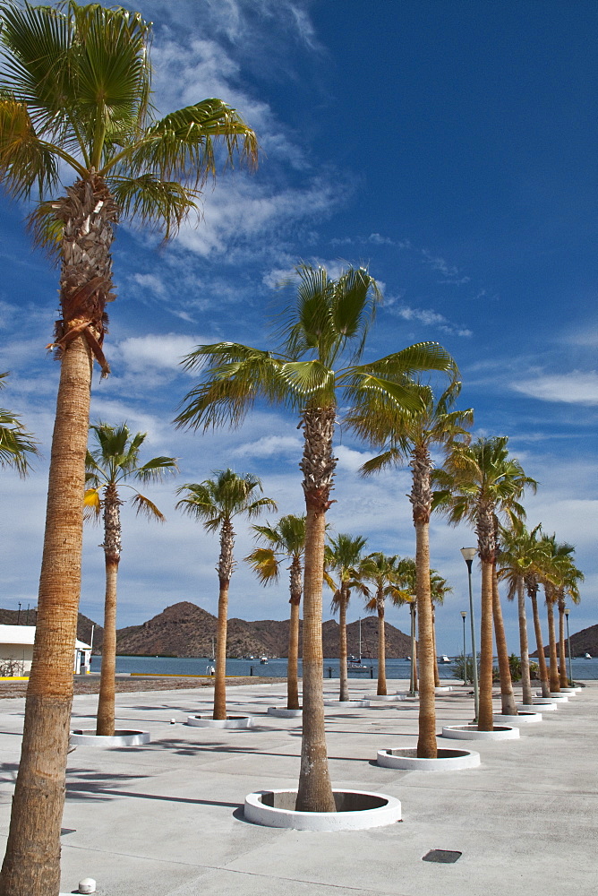 Views of the new (2009) marina still under construction at Puerto Escondido, Baja California Sur, Mexico.