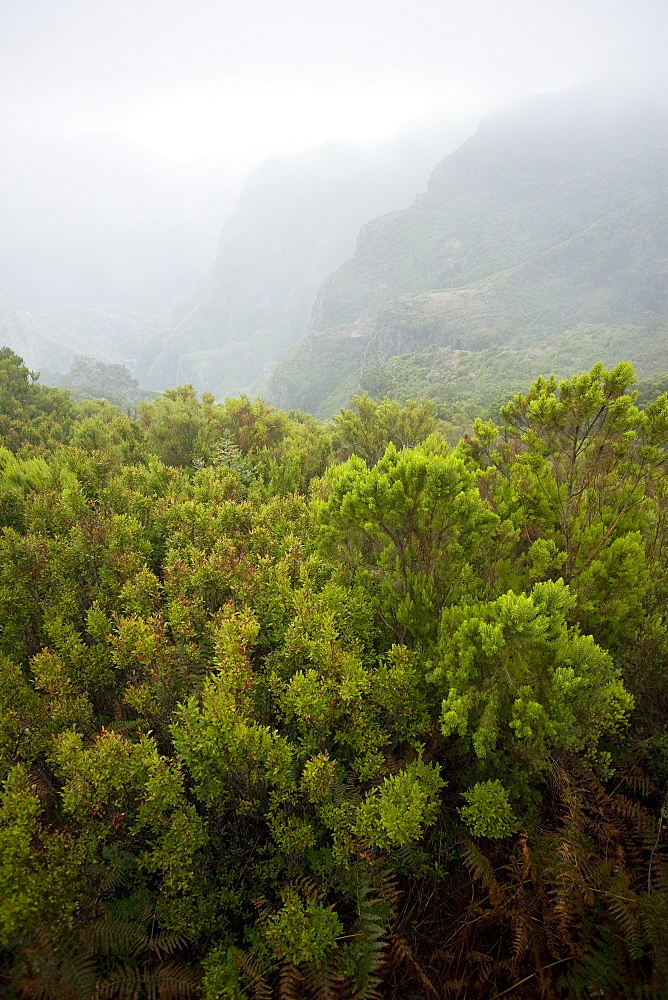 Madeira, Portugal