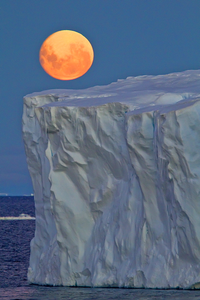 Full moon (plus 1 day) rising over icebergs in the Weddell Sea, Antarctica. MORE INFO This moonrise occurred on January 1, 2010, the night after the blue moon full of December 31, 2009.