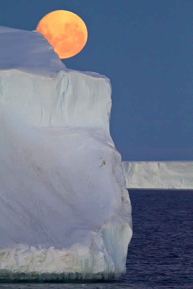 Full moon (plus 1 day) rising over icebergs in the Weddell Sea, Antarctica. MORE INFO This moonrise occurred on January 1, 2010, the night after the blue moon full of December 31, 2009.