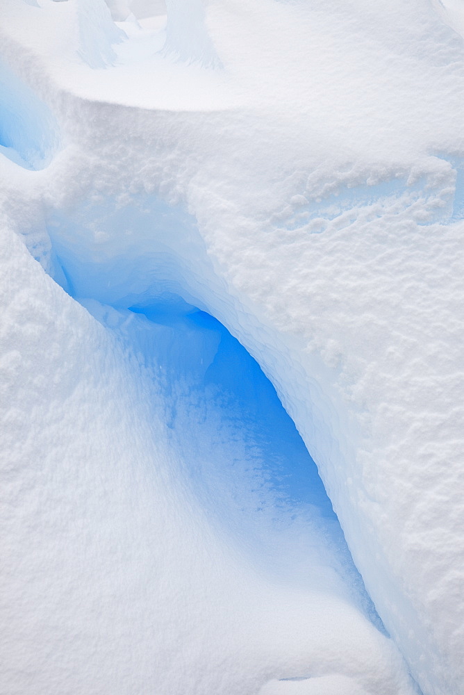 Iceberg detail in and around the Antarctic Peninsula during the summer months, Southern Ocean