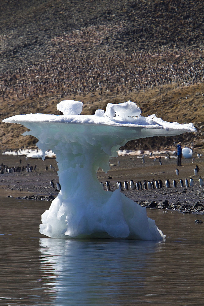 Iceberg detail in and around the Antarctic Peninsula during the summer months, Southern Ocean