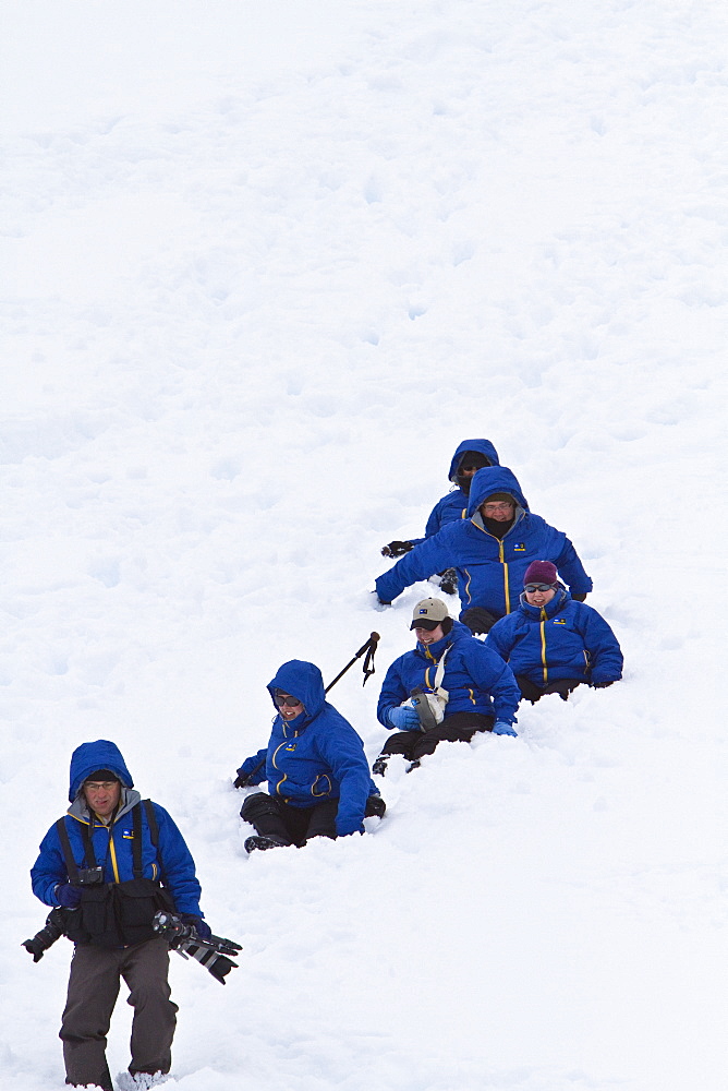 Guests from the Lindblad Expedition ship National Geographic Explorer slide down snow-covered hill in Orne Harbor, Antarctica