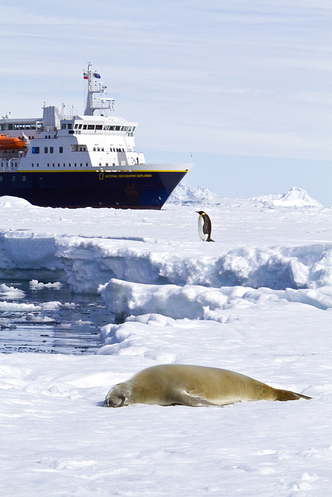 The Lindblad Expedition Ship National Geographic Explorer operating in Antarctica in the summer months.