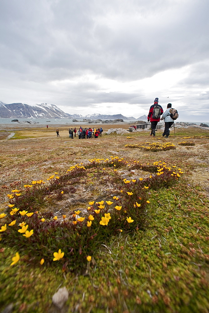 A view of Gn%lodden in Hornsund (Horn Sound) on the southwestern side of Spitsbergen Island in the Svalbard Archipelago, Barents Sea, Norway.