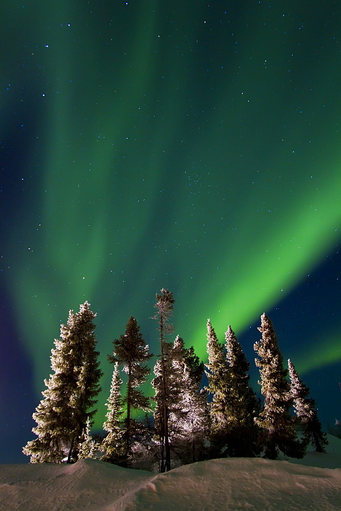 Aurora Borealis (Northern (Polar) Lights) over the boreal forest outside Yellowknife, Northwest Territories, Canada