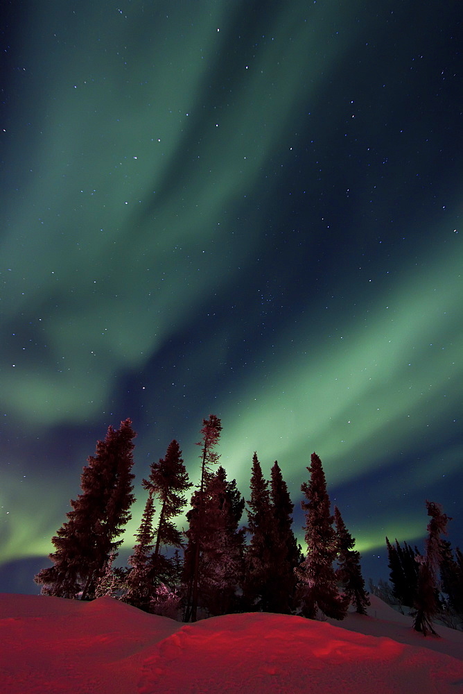 Aurora Borealis (Northern (Polar) Lights) over the boreal forest outside Yellowknife, Northwest Territories, Canada