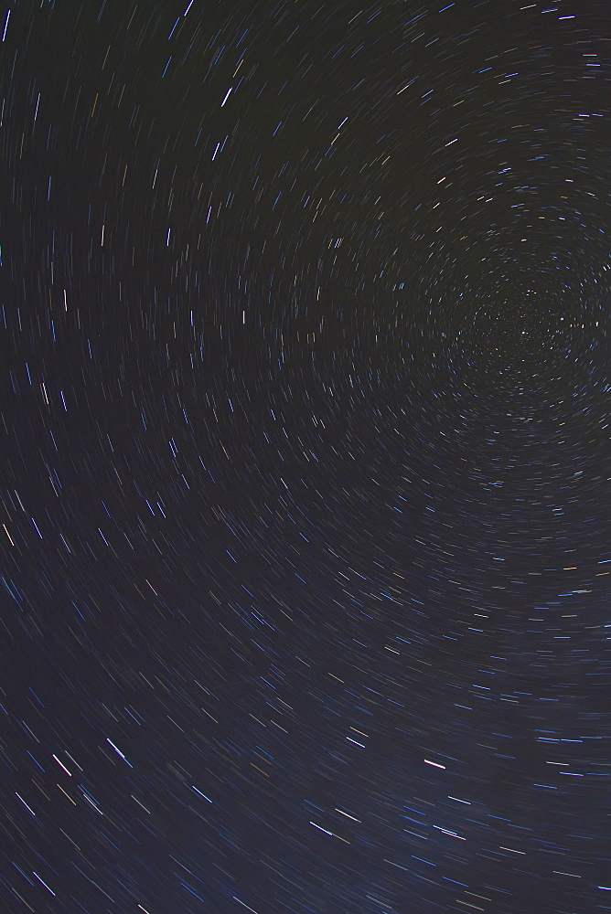 Star trails over the boreal forest outside Yellowknife, Northwest Territories, Canada