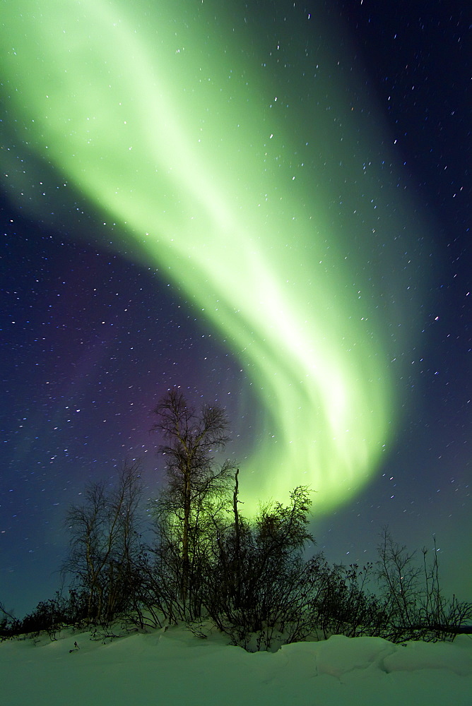 Aurora Borealis (Northern (Polar) Lights) over the boreal forest outside Yellowknife, Northwest Territories, Canada