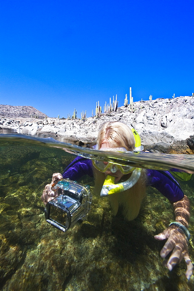 Where the desert meets the sea; a snorkeler at Isla Santa Catalina in the Gulf of California (Sea of Cortez), Baja California Sur, Mexico