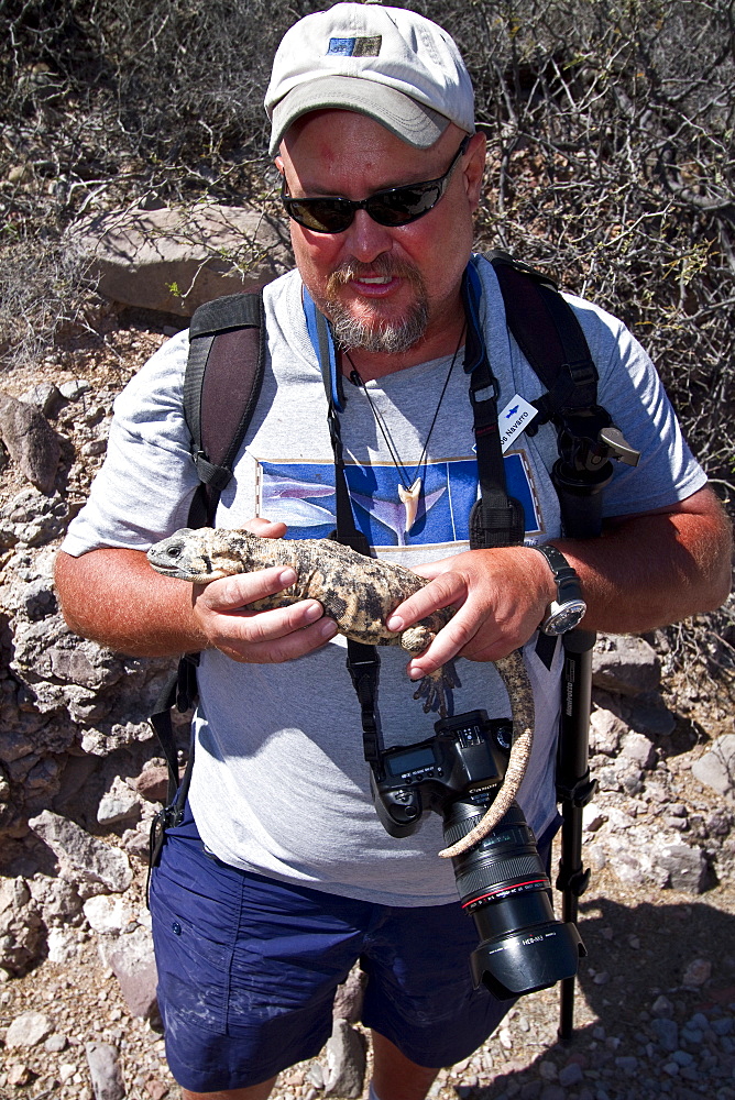 Staff member from the Lindblad Expedition ship National Geographic Sea Bird holding an endemic pinto chuckwalla on Isla San Esteban, Mexico.