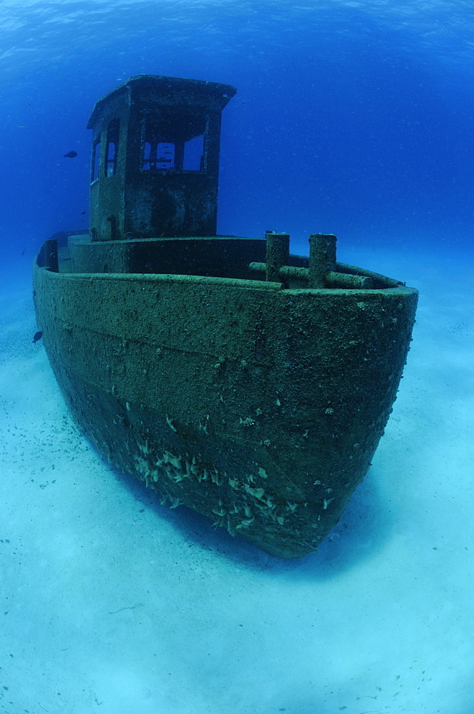 Wreck of the ''Blue Plunder''- Bahamas