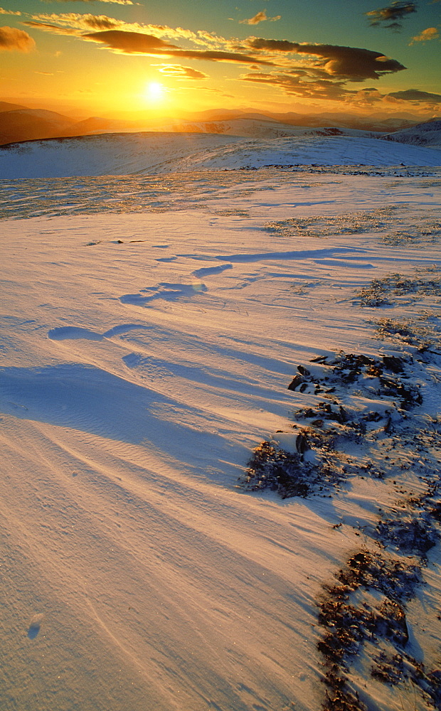 scottish mountains: on plateau of dreish (947m) grampian mountains, after snow. glen prosen, augus,sco