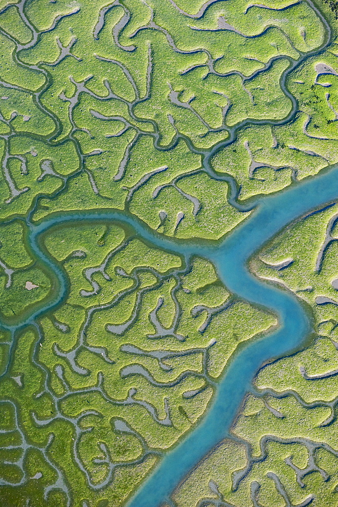 Aerial view of saltmarsh at low tide near Cadiz, Spain