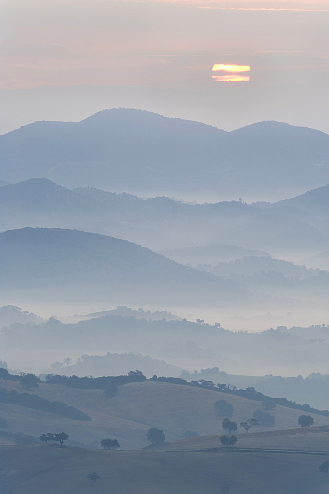 Andalucian campagna near Montellano, Spain, at dawn