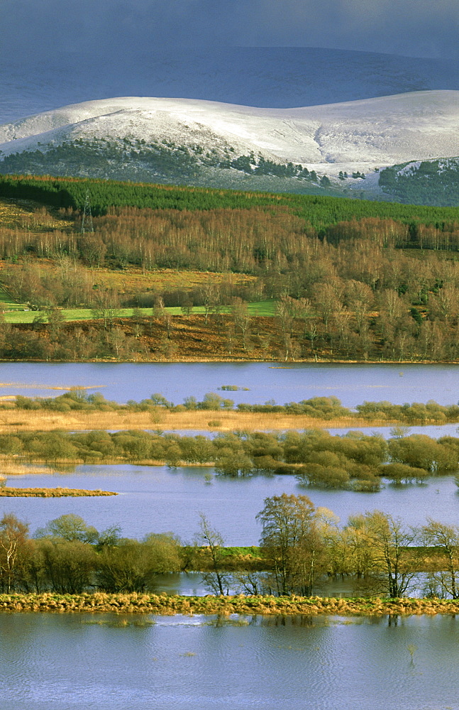 wetlands: inch marshes, near kingussie. strathspey, scotland