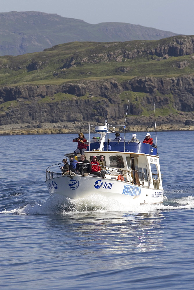 Whale-watch vessel, "Alpha Beta".  Sea Life surveys were the first organisation to understand the potential for whale-watching in the West of Scotland.  Hebrides, Scotland