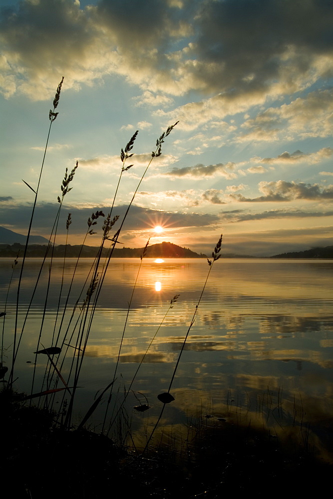 Loch Awe sunrise with long grass in foreground.  Argyll, Scotland