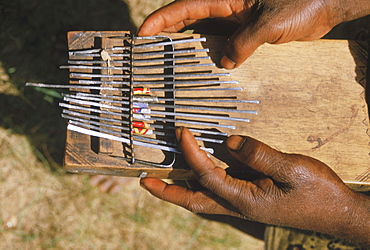 Republic of Congo (formerly Zaire) Ituri Forest. Pygmee and African music instrument, Kalimba thumb piano.