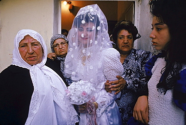 Jerusalem, Gaza Strip, Shufat Camp Wedding