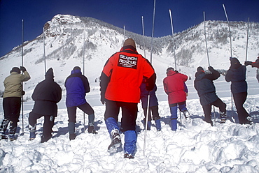 Students at the Silverton Avalanche School in Silverton, Colorado, form a line to search the snow with probes. The Silverton Avalanche School is held each January and it is quite acclaimed.