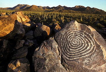 Prehistoric petroglyph (perhaps Hohokom Indian) in Saguaro National Park, near Tucson, Arizona.