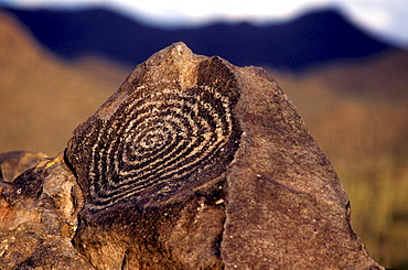 Prehistoric petroglyph (perhaps Hohokom Indian) in Saguaro National Park, near Tucson, Arizona