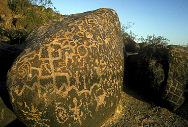 Prehistoric rock art (petroglyphs) near Gila Bend, Arizona