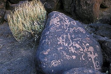 Prehistoric rock art (petroglyphs) near Gila Bend, Arizona