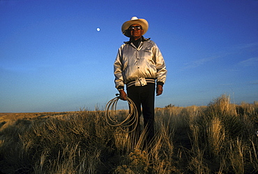 A Navajo man herds sheep that provide wool for his wife to weave a traditional rug, Burnham, New Mexico on the Navajo Indian Reservation.